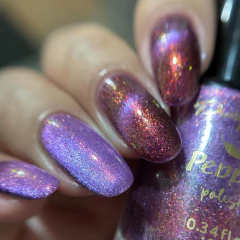 Imagem do Elevador Lacerda - Limitada