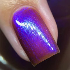 Birthday Bloom na internet