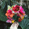 Mariposas Everywhere 3
