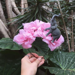 COMBO SALVAJE - comprar online