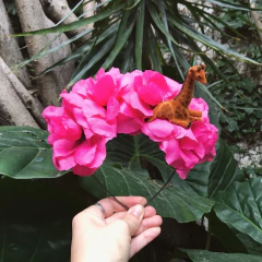 COMBO SALVAJE en internet