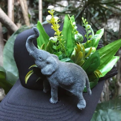 10 KENYA CAPS - De Jauja Tiendita