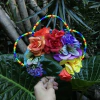 Frida Renace Rainbow