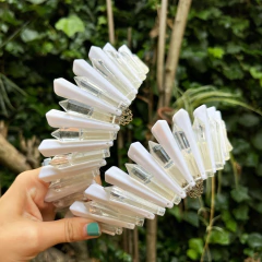 Crystal Crown en internet