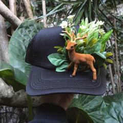 50 KENYA CAPS - comprar online