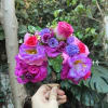 Huge Spring Crown 3