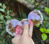 anteojos pink spring