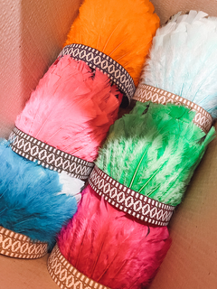 10 Cacique Tribe Crowns