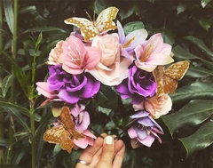 Mariposas Everywhere 1