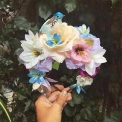 Maui Crown en internet