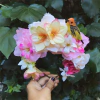 Pink Maui Crown