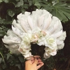 White Bride
