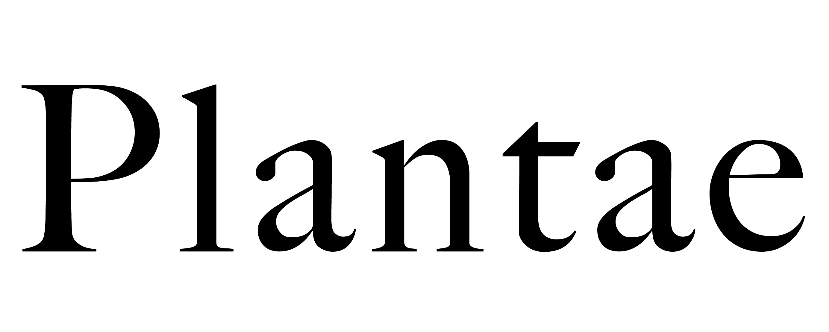Plantae
