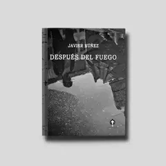Después del fuego