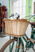 Bicicleta color Verde Inglés R26 - tienda online