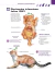 Imagem do ATLAS EDUCACIONAL PARA TUTORES DE PET - CUIDADOS DE SAÚDE ESSENCIAIS PARA FILHOTES DE CÃES E GATOS