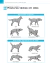 ATLAS EDUCACIONAL PARA TUTORES DE CÃES - comprar online