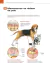 ATLAS EDUCACIONAL PARA TUTORES DE PET DERMATOLOGIA - MedVet Livros