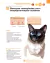 ATLAS EDUCACIONAL PARA TUTORES DE PET DERMATOLOGIA - MedVet Livros