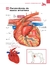 ATLAS EDUCACIONAL PARA TUTORES DE PET CIRURGIA - loja online