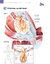 ATLAS EDUCACIONAL PARA TUTORES DE PET CIRURGIA