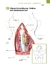 ATLAS EDUCACIONAL PARA TUTORES DE PET CIRURGIA na internet