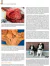 DOENÇAS DO SISTEMA HEPATOBILIAR E DO PÂNCREAS EXÓCRINO DO CÃO - comprar online