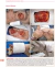 CIRURGIA RECONSTRUTIVA EM CÃES E GATOS na internet