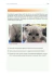 CASOS EM MEDICINA FELINA 2° EDIÇÃO - tienda online