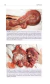 Imagen de CASOS DE ROTINA CIRÚRGICA EM MEDICINA VETERINÁRIA DE PEQUENOS ANIMAIS - 2° EDIÇÃO