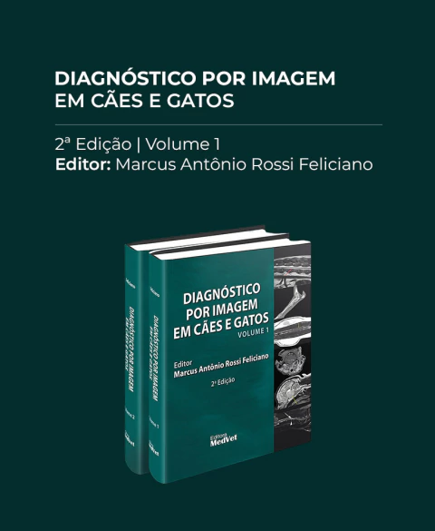 Carrossel 1