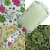 Cepillo Paleta Fantasia YESSAMY C350