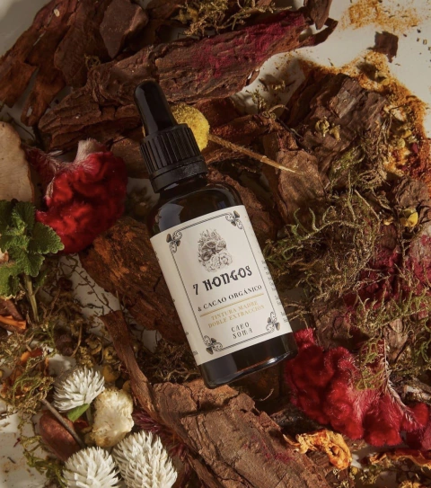 7 hongos con cacao orgánico
