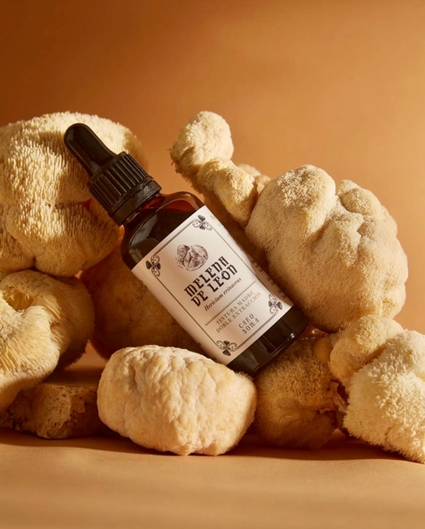 Melena de León con Ashwagandha