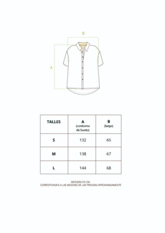 CONJUNTO ATENAS CAMISA Y SHORT - CIPITRIA - tienda online