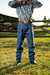 Calça Jeans Montana 908 Azul na internet