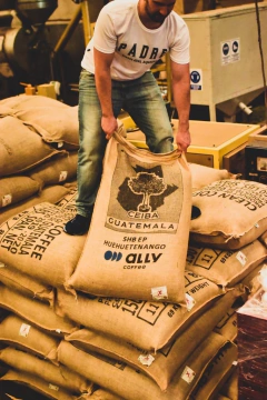 Guatemala Huehuetenango-500 gramos - Padre Coffee 