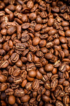 Kenia Murang’a-250 gramos - comprar online