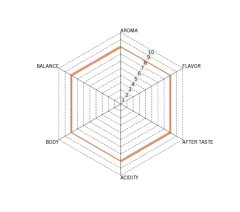 Costa Rica Tarrazú-250 gramos - Padre Coffee 