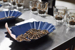 Guatemala Huehuetenango-500 gramos - comprar online