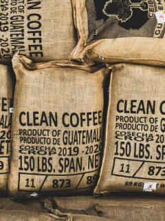 Guatemala Huehuetenango-500 gramos - tienda online