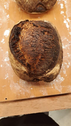 Pan de Masa Madre x 650 grs - comprar online