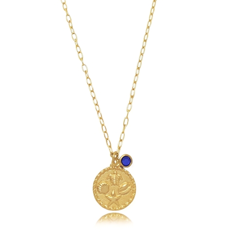 Colar com medalha elementos do mar e cristal azul folheado em ouro 18k
