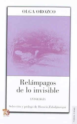 RELAMPAGOS DE LO INVISIBLE