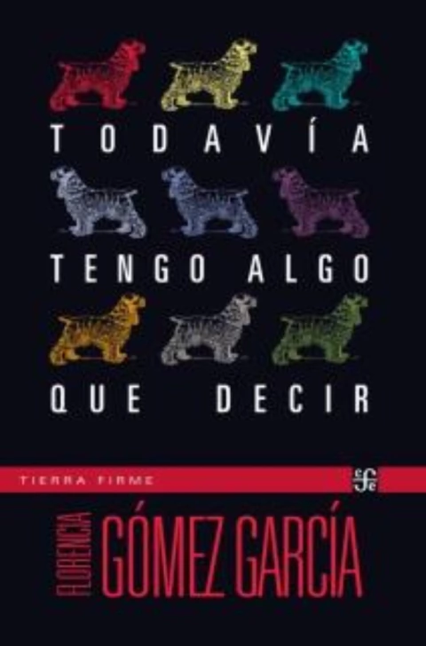Todavía tengo algo que decir, una novela de Florencia Gómez García.