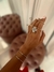Brazalete Gola. - comprar online
