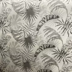 Imagen de Gabardina Estampada