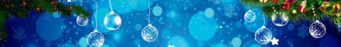 Banner de la categoría Ofertas