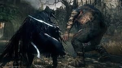 Bloodborne en internet