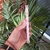 Imagen de Funda para iPhone 15